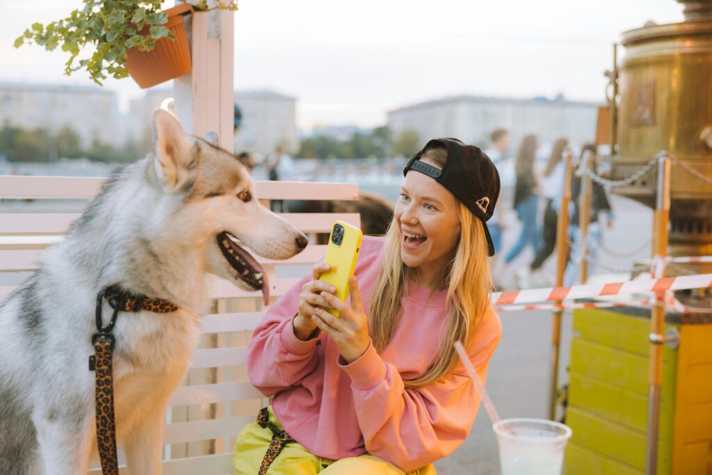 Girl in pink shirt with black cap sitting beside a siberian husky using Zepeel dating app to break the ice 